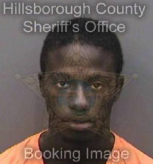 Watson Travontae - Hillsborough County, Florida 