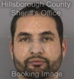 Ruiz Michael - Hillsborough County, Florida 