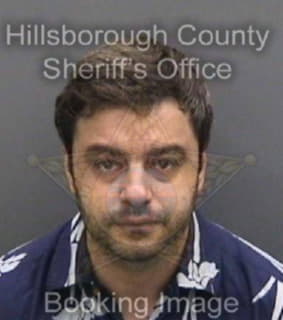 Aminian Seyedhassan - Hillsborough County, Florida 