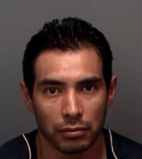 Robles Cesar - Pinellas County, Florida 