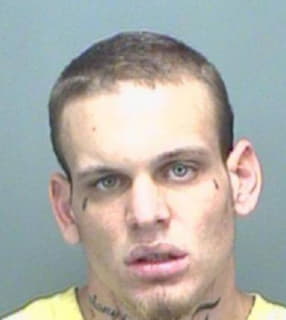 Dennis Anthony - Pinellas County, Florida 