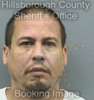 Lopez Norberto - Hillsborough County, Florida 