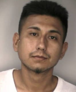 Vargas Ricardo - Hillsborough County, Florida 