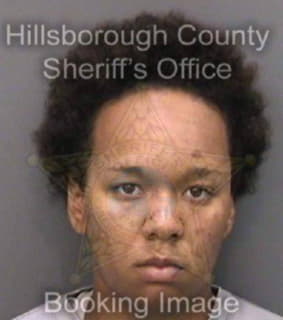 Mateo Dilcia - Hillsborough County, Florida 