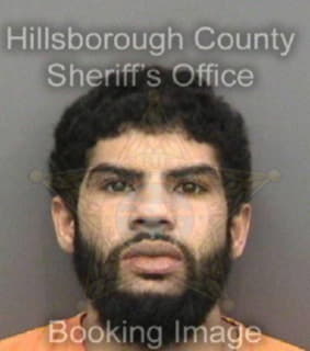 Rodriguez Anthony - Hillsborough County, Florida 