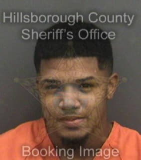 Diegobruzon Irving - Hillsborough County, Florida 