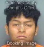 Morales Jesus - Pinellas County, Florida 