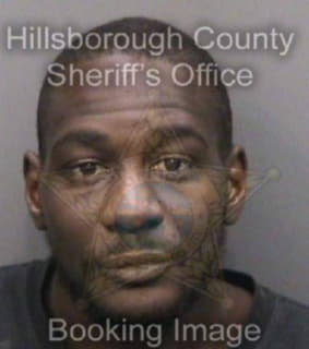 Johnson Michael - Hillsborough County, Florida 