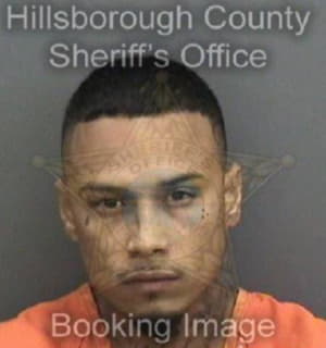 Martinez Ramon - Hillsborough County, Florida 