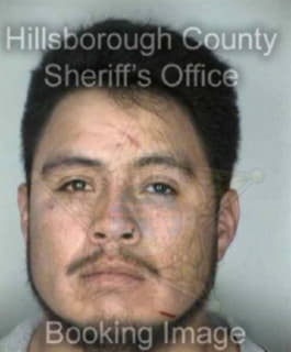 Ortiz Celso - Hillsborough County, Florida 