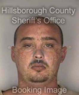 Cook Derik - Hillsborough County, Florida 