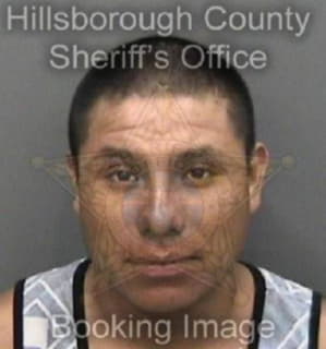 Lopezgomez Marcelino - Hillsborough County, Florida 