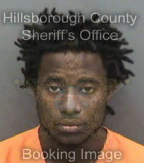 Kirkland Reginald - Hillsborough County, Florida 