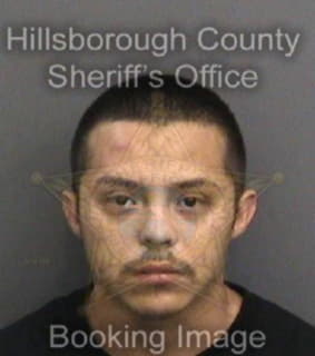 Palomerez Carlos - Hillsborough County, Florida 