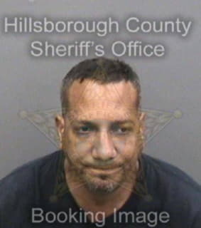 Lopezsanchez Carlos - Hillsborough County, Florida 