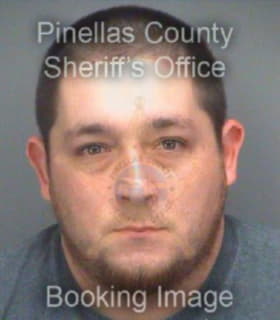 Miles Matthew - Pinellas County, Florida 