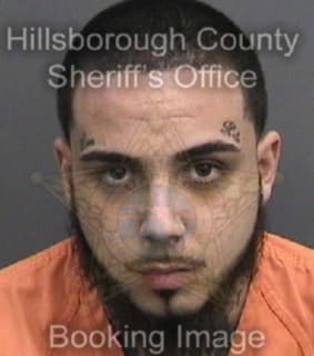 Doumit Nicholas - Hillsborough County, Florida 