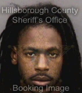 Davis Russell - Hillsborough County, Florida 