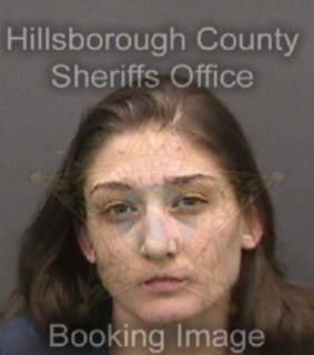 Wischer Destiny - Hillsborough County, Florida 