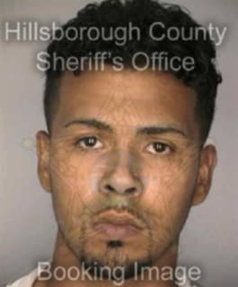 Rivera Emil - Hillsborough County, Florida 