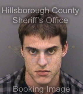 Dower Michael - Hillsborough County, Florida 