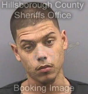 Rodriguez Ricardo - Hillsborough County, Florida 