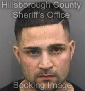 Castellon William - Hillsborough County, Florida 