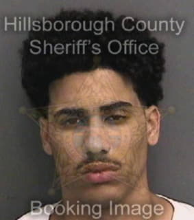 Wilson Cameron - Hillsborough County, Florida 