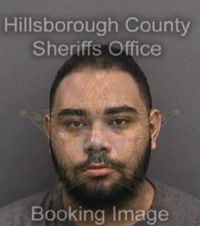 Vargasrivera Carlos - Hillsborough County, Florida 