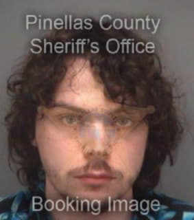 Givens Sean - Pinellas County, Florida 