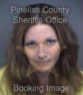 Mcguire Francine - Pinellas County, Florida 