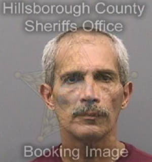 Vasquez Carlos - Hillsborough County, Florida 