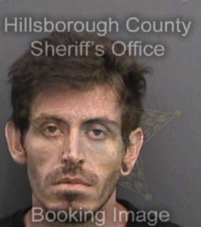 Lewis Christopher - Hillsborough County, Florida 