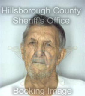 Romine George - Hillsborough County, Florida 