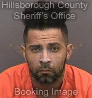 Nieves Luis - Hillsborough County, Florida 