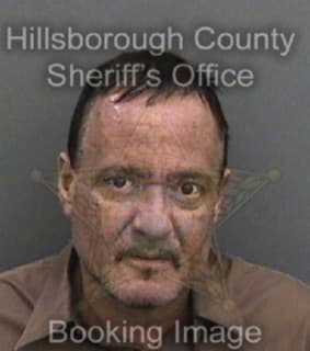 Carlo Meredith - Hillsborough County, Florida 