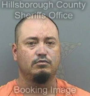 Hernandez Rogelio - Hillsborough County, Florida 