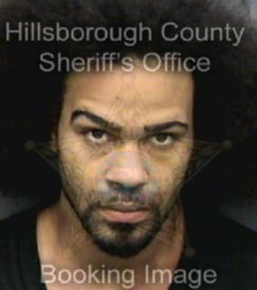 Tucker Timothy - Hillsborough County, Florida 