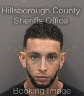 Lopezramos Luis - Hillsborough County, Florida 