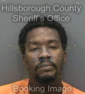 Beasley Demetrious - Hillsborough County, Florida 