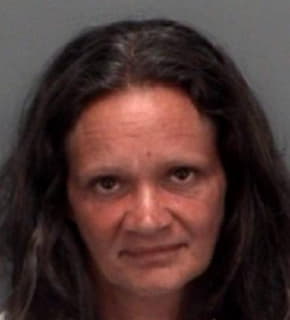 Wessel Dianne - Pinellas County, Florida 