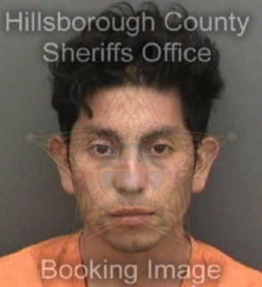 Barrientos-Fabian Adelso - Hillsborough County, Florida 