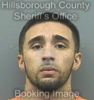 Ortiz Christopher - Hillsborough County, Florida 