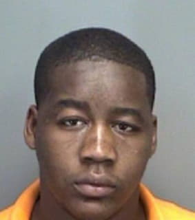 Mathias Darryl - Pinellas County, Florida 