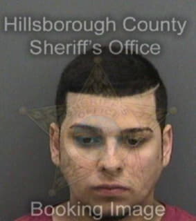 Lopezdejesus Elvin - Hillsborough County, Florida 