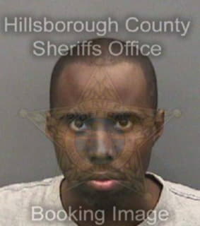 Mason Joshua - Hillsborough County, Florida 