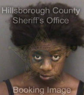 Clark Latisha - Hillsborough County, Florida 