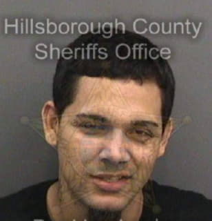 Martinezrojas Luis - Hillsborough County, Florida 