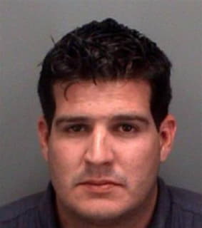 Alvarezberrios Mario - Pinellas County, Florida 