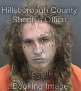 Alessandrini Michael - Hillsborough County, Florida 